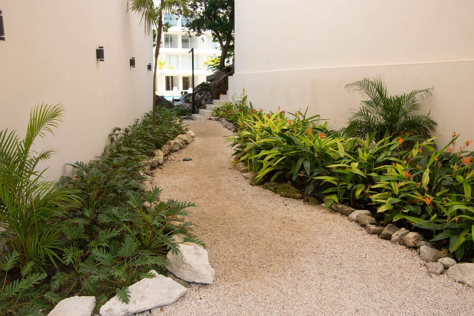 Lush tropical garden walkway within The Leaf Playacar community